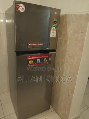 LG Double Door Fridge 330L
