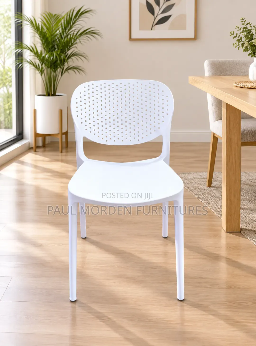 Plastic Nice Chair