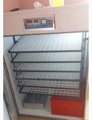 Most Unique 1056 Eggs Incubator for Sale