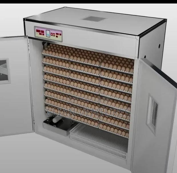 1584 Eggs Incubator for Sale