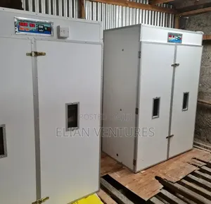 Most Durable 1584 Eggs Incubator