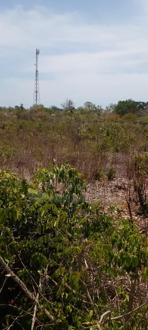 Galu Beach's High-End 1 Acre Plot Close to the White Sandy Beach.
