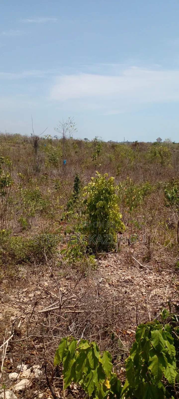 Galu Beach's High-End 1 Acre Plot Close to the White Sandy Beach.