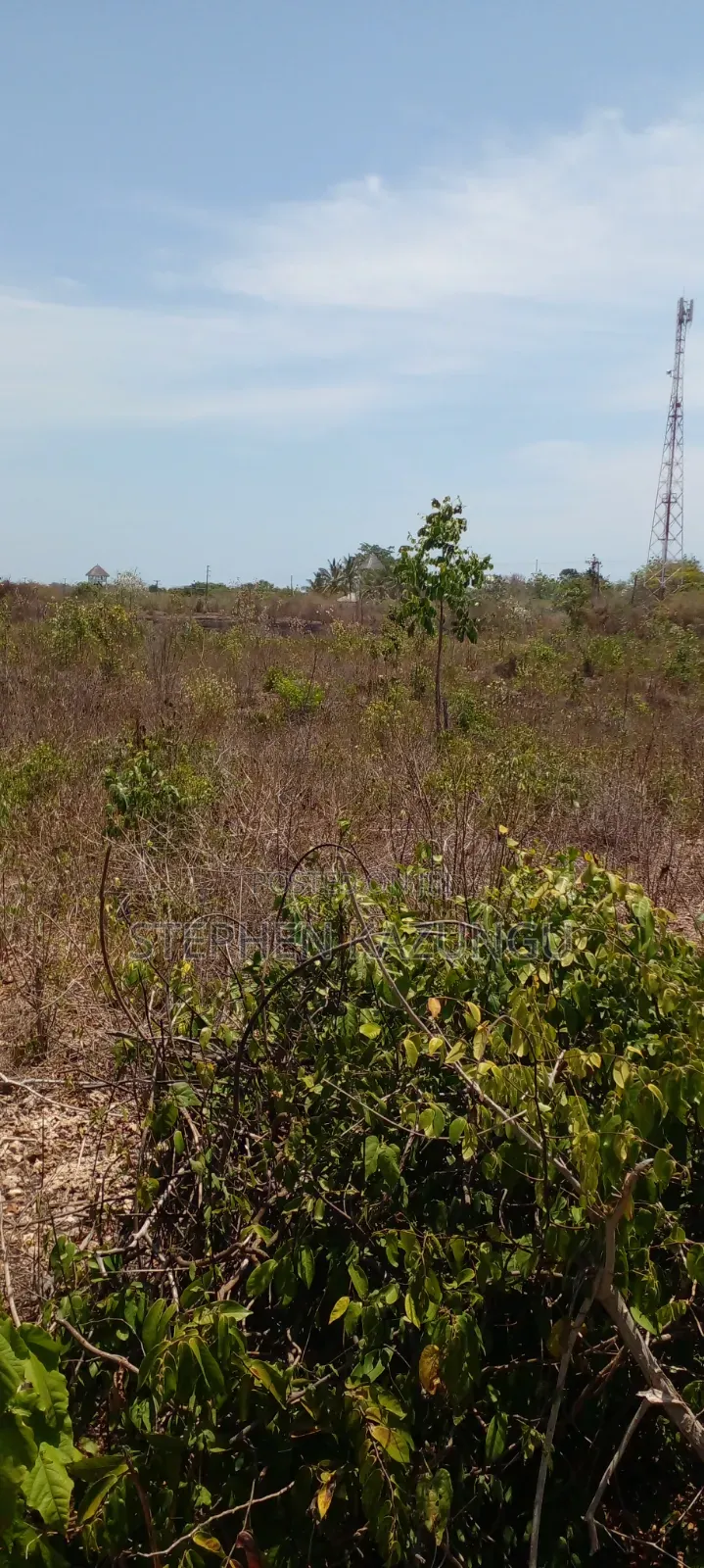 Galu Beach's High-End 1 Acre Plot Close to the White Sandy Beach.