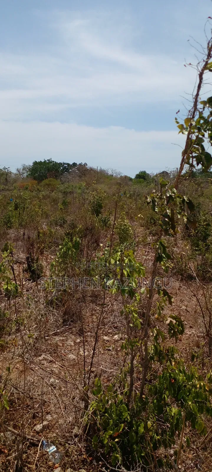 Galu Beach's High-End 1 Acre Plot Close to the White Sandy Beach.