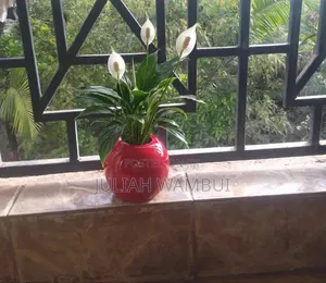 Ball Cement Planter Pots - White & Red Glossy - 15cm Handmade