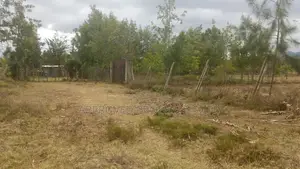 50*100 Plots for Sale Nanyuki Segera