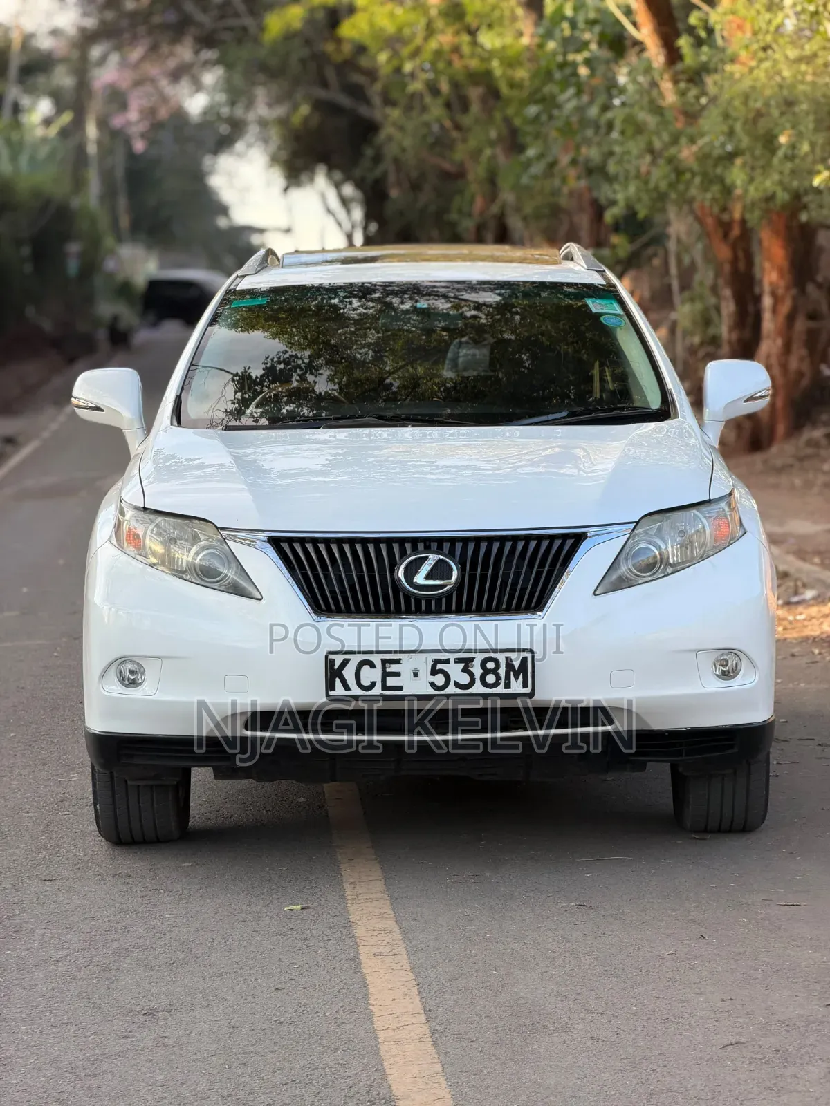 Lexus RX 350 2010