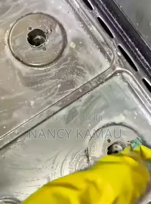 Kitchen Appliances Cleaning