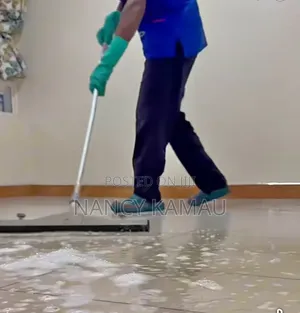 Routine Home Scrubbing