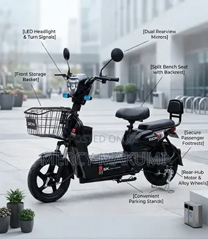 Electric Scooter