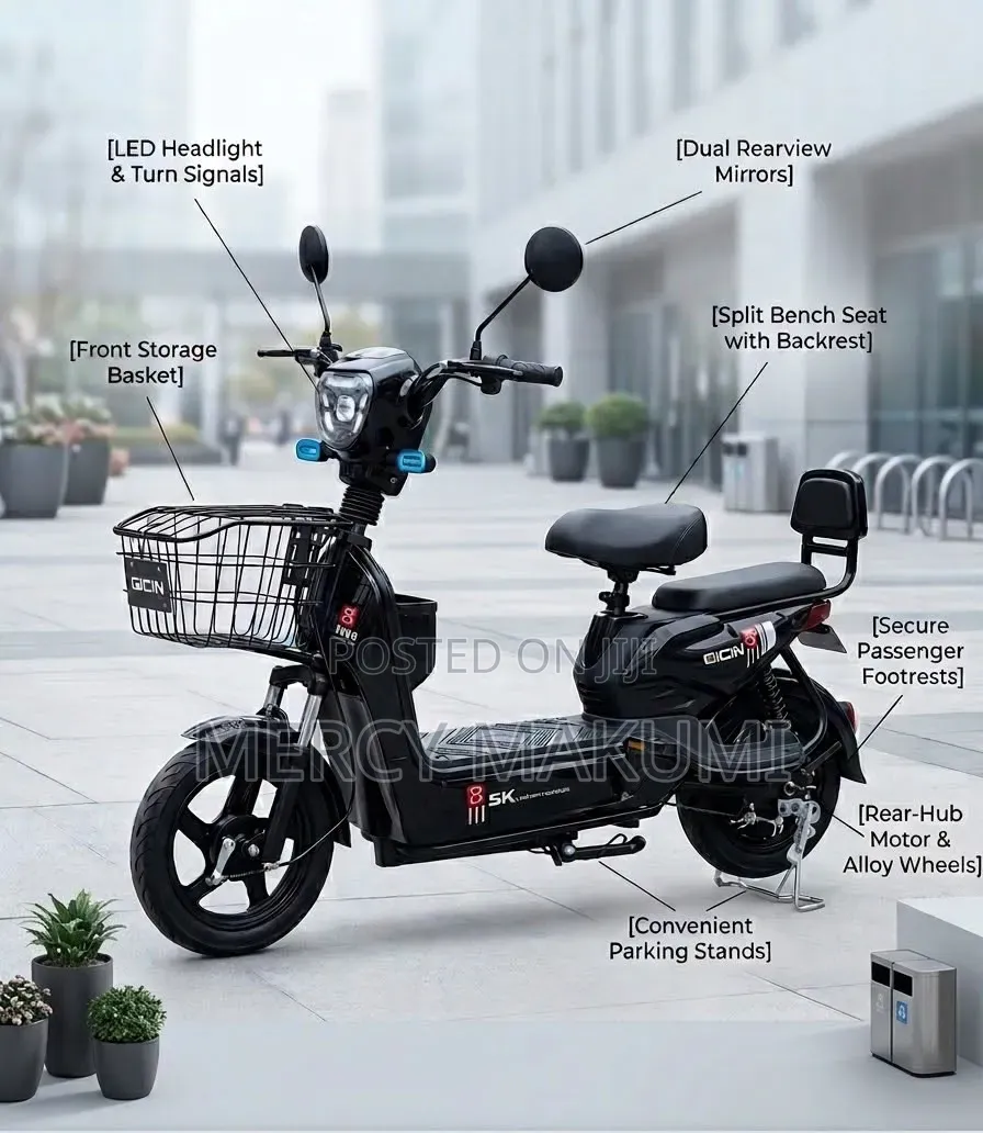 Electric Scooter