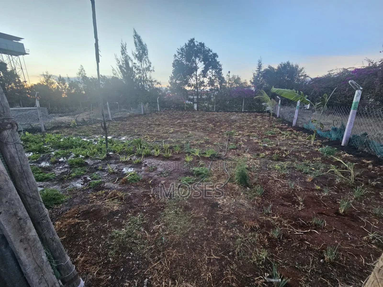 50x100 Plot Within a Devt Court on Sale