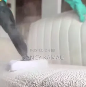 Sofa Steam Wash