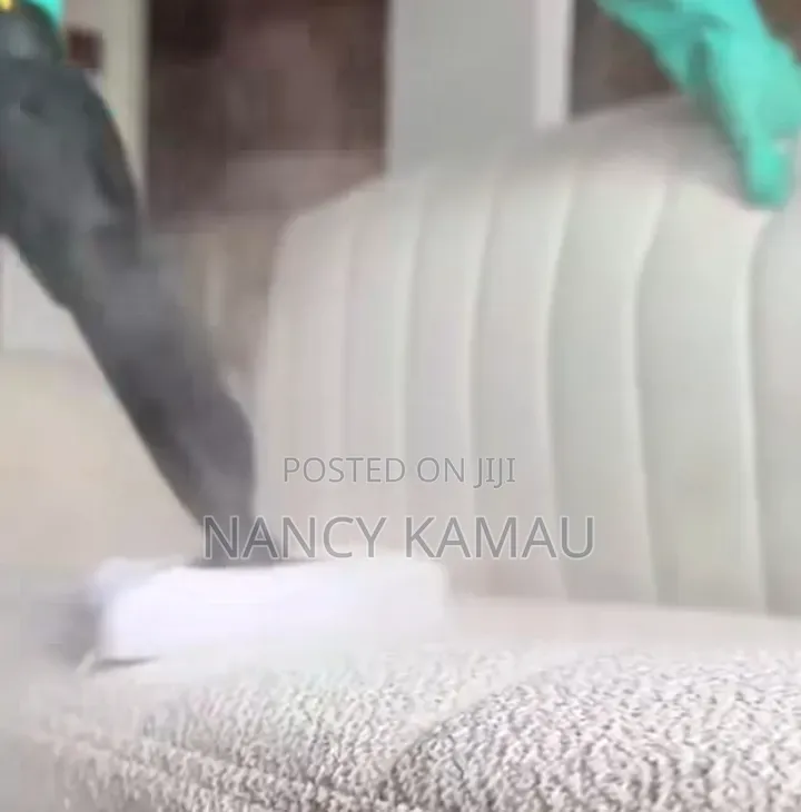 Sofa Steam Wash