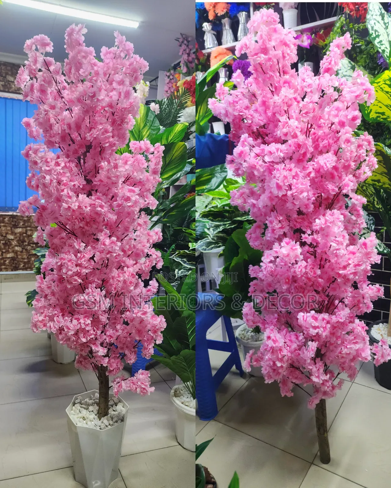 Beutiful Artificial Pink Cherry Blossom Plant 1.8m Complete With Vase