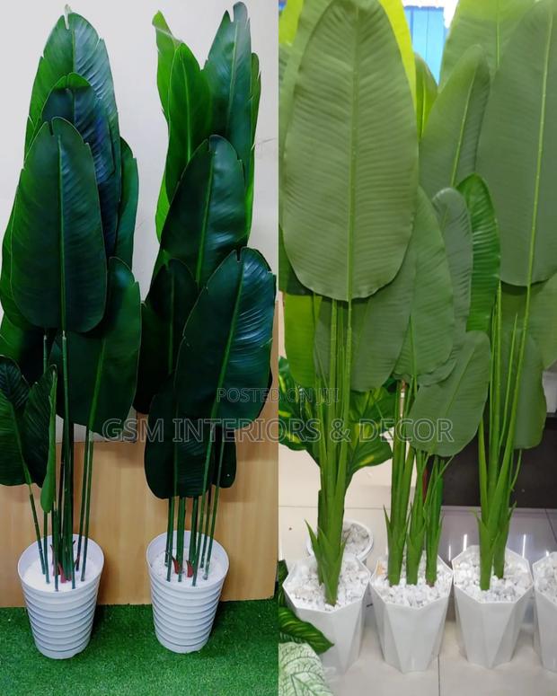 Atificial Banana and Palm Plants for Indoor and Living Room Decor
