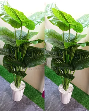 Artificial Tall Plants in Money Plant and Zebra Designs 1.7m