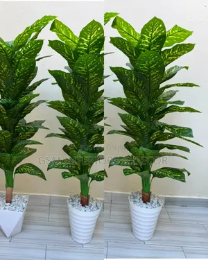 Artificial Green Plain and Coloured Plants for Hotels and Office Space