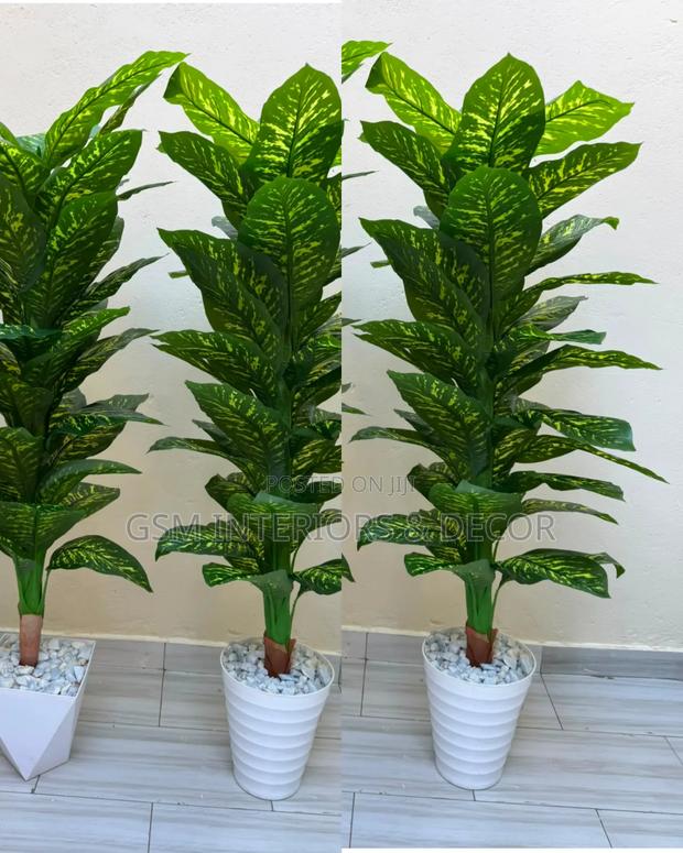 Artificial Green Plain and Coloured Plants for Hotels and Office Space
