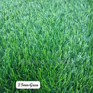 Home Compound Artificial Grass for Lawn Garden & Partio Decor