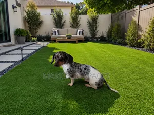 Pet Friendly 20mm Artificial Turf Grass - Washable Turf for Pet Area