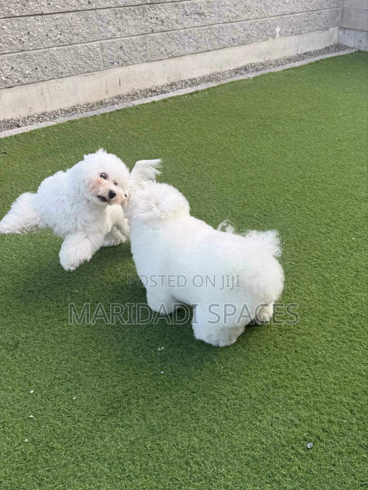 Pet Friendly 20mm Artificial Turf Grass - Washable Turf for Pet Area