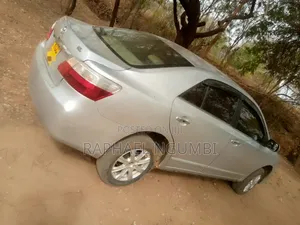 Toyota Premio 2009 Silver