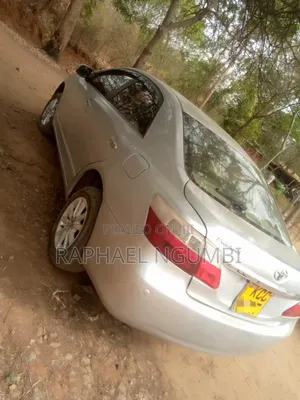 Toyota Premio 2009 Silver