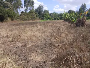 Prime Quarter Acre Plot in Olkeri, Ngong Near Oloolua Forest