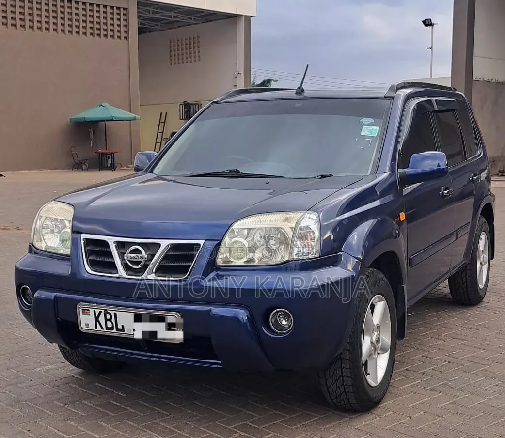Nissan X-Trail 2.0 2006 Blue