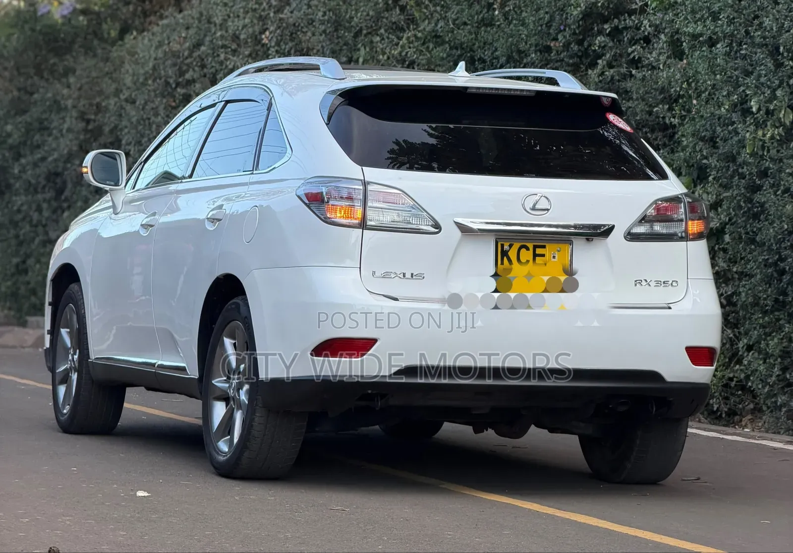 Lexus RX 2010 White