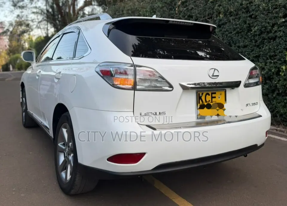 Lexus RX 2010 White