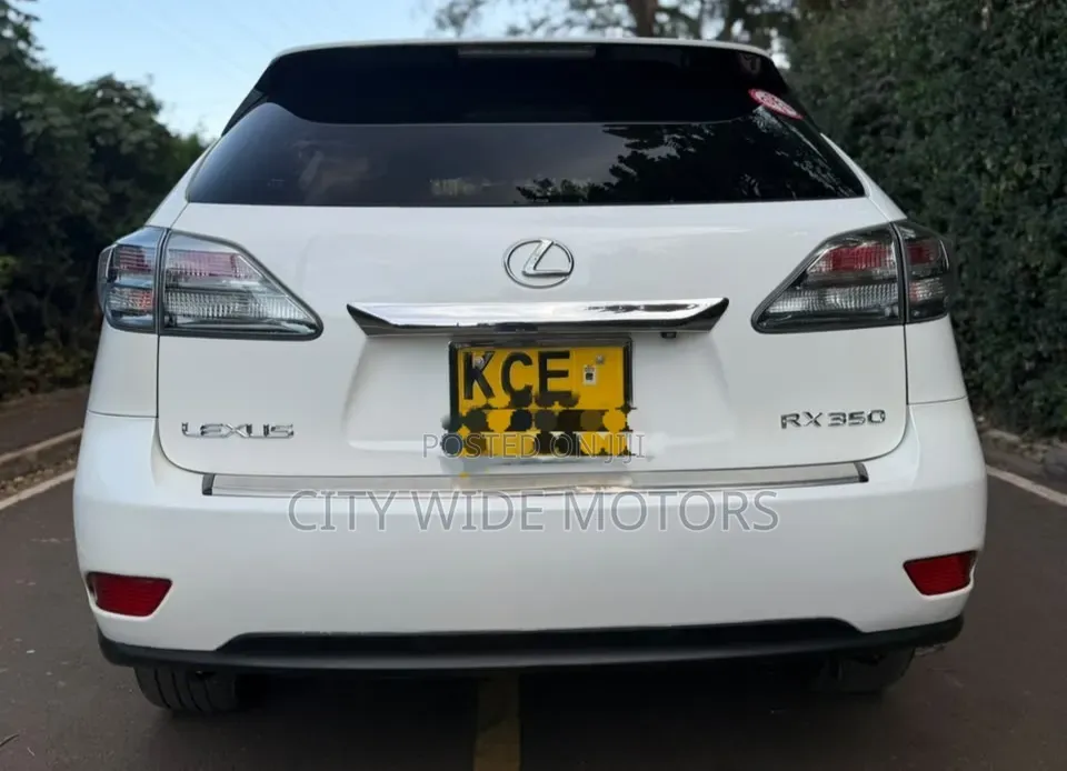 Lexus RX 2010 White