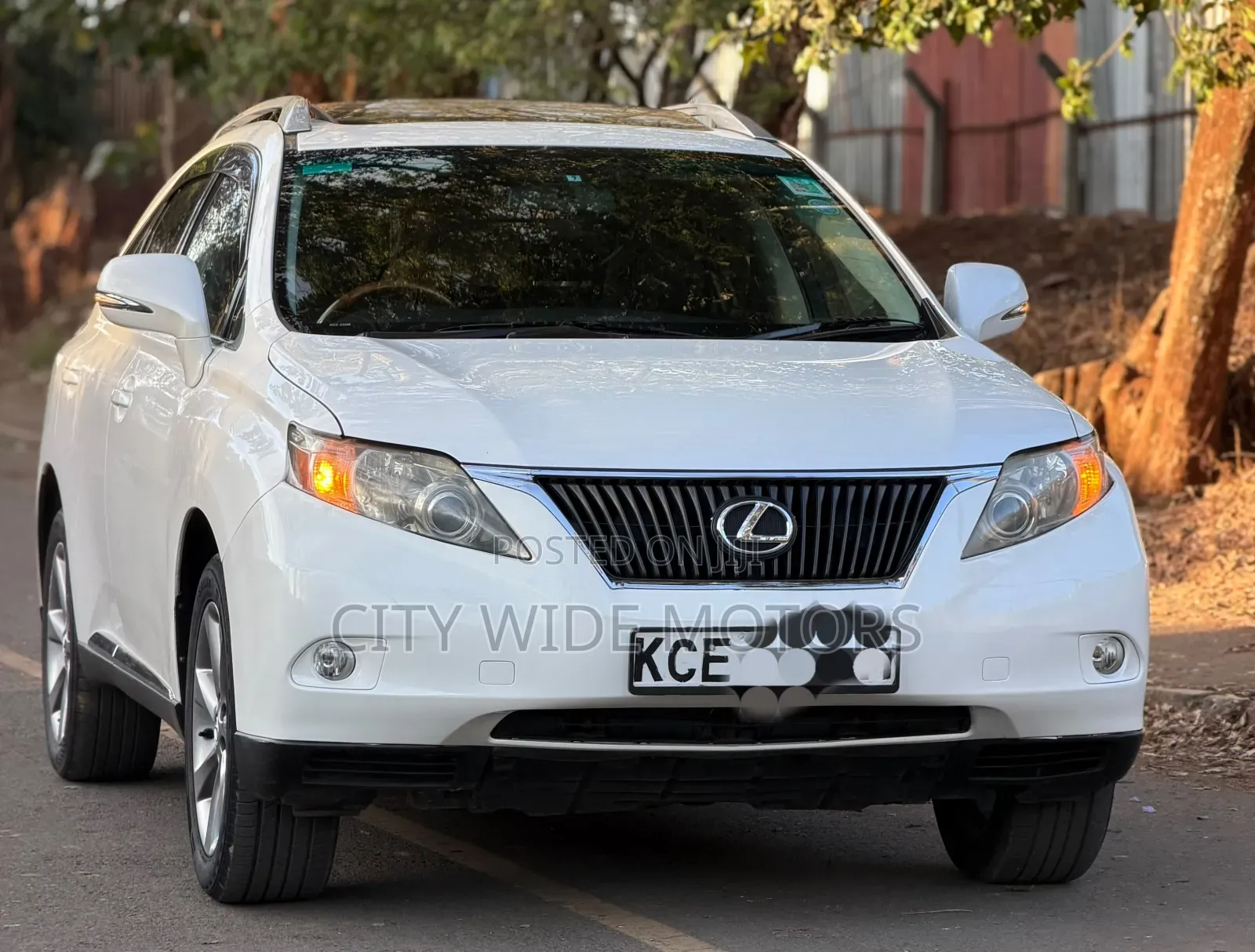 Lexus RX 2010 White