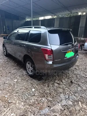 Toyota Corolla Fielder 2009 Gray