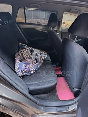 Toyota Corolla Fielder 2009 Gray
