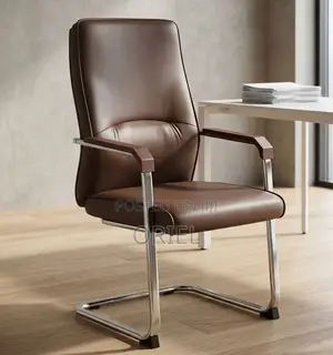Brown Leather Cantilever Reception Chair Kenya – Modern Guest Seat