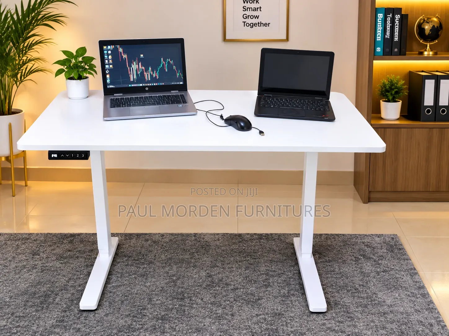 Modern Electric Adjustable Desk