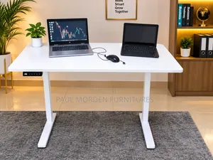 Modern Electric Adjustable Desk