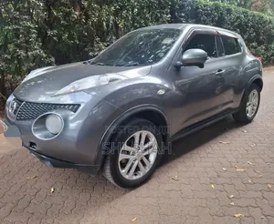 Nissan Juke 2012 Silver