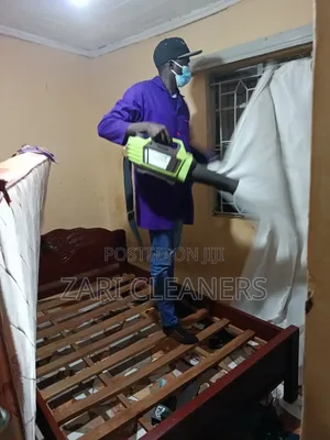 Bedbugs in Your Bedroom? Gas Fumigation Kills
