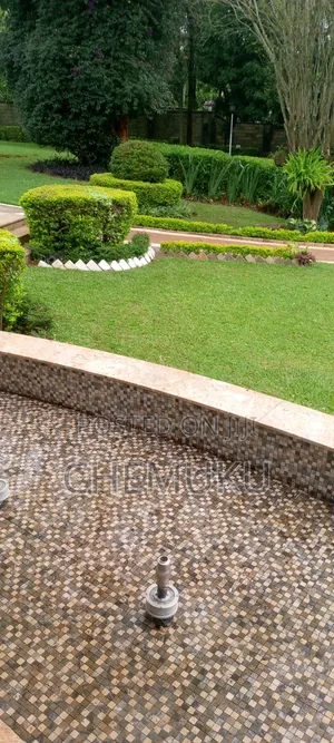 Painting and Tilling Renovation