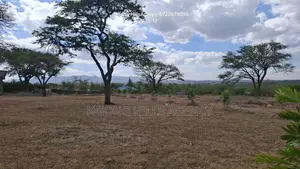 Prime 3-Acre Land for Sale in Rimpa (Off Rimpa Road)