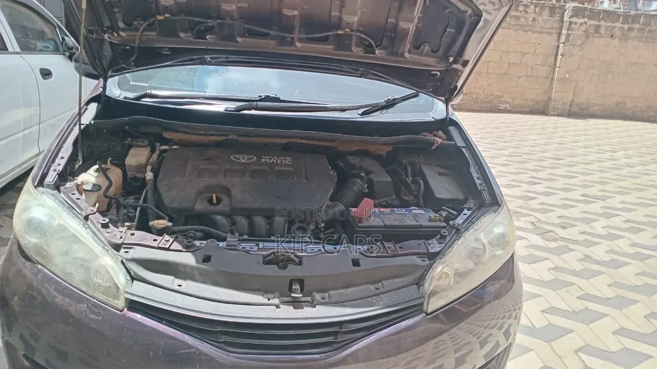 Toyota Wish 2012 Purple