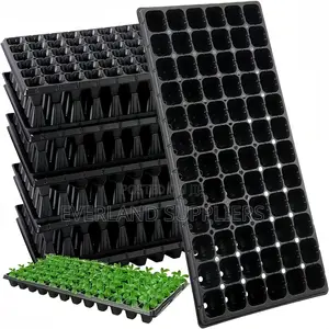 Strong Plastic Seedling Trays - Wholesale