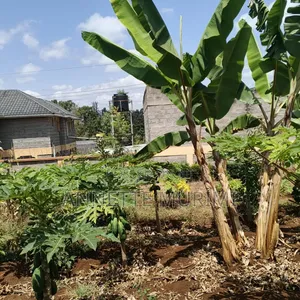 Land for Sale in Kirinyaga