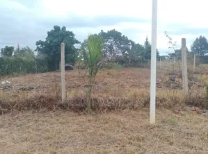 Prime Plot Amani Ridge Next to Tatu City
