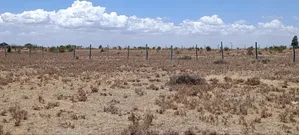 Ruiru Kamakis Mwalimu Farm Prime Plots