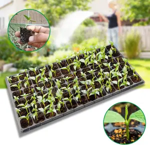 Vegetable Seedling Trays - Wholesale